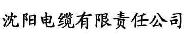 亚洲中文久久精品无码1电缆厂logo